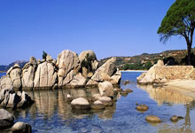 海星体育-赛前体能课后，广东宏远手感冰凉备战欧冠，更衣室稳定，控场能力受关注的简单介绍-海星体育